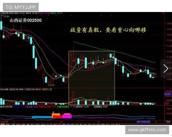 王敏专访揭示足球成功背后的秘密与策略分析